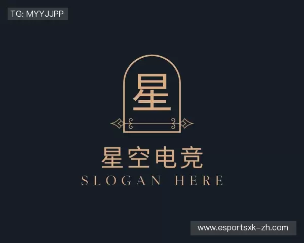 了解星空电竞官网